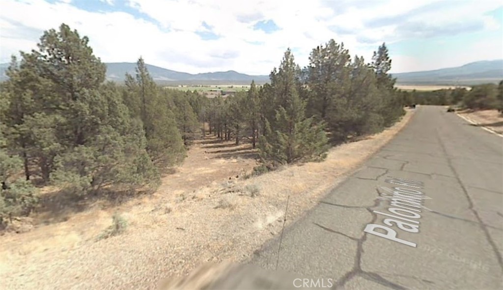 5115 Palomino Road Weed, CA 96094 - Photo 3 of 4 a view of a yard with trees