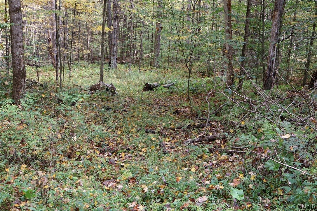 Lawrence Road Windsor, NY 13865 - Photo 24 of 31 Gallery Image 24