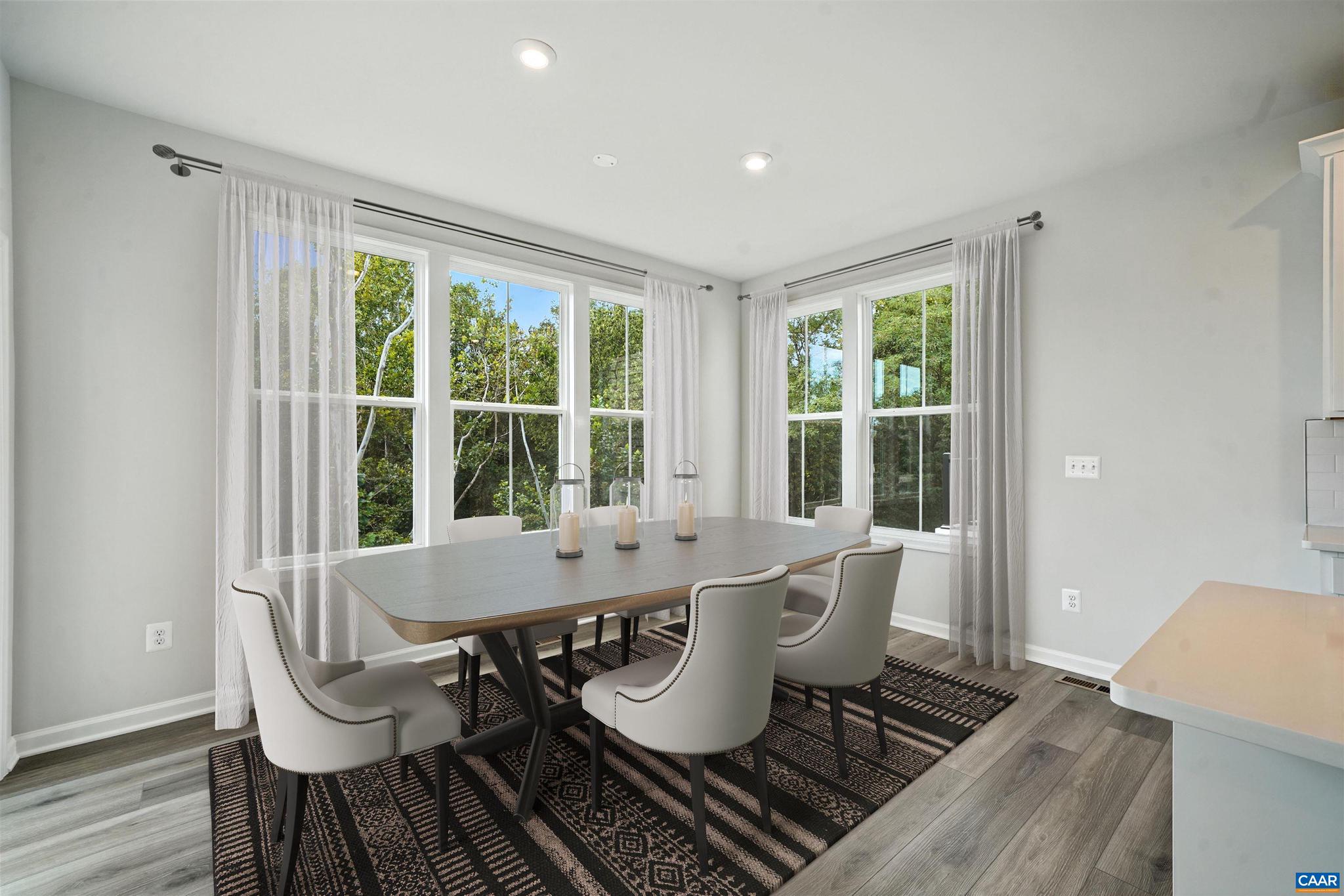 3041 Rambling Brk Lane Crozet, VA 22932 - Photo 4 of 37