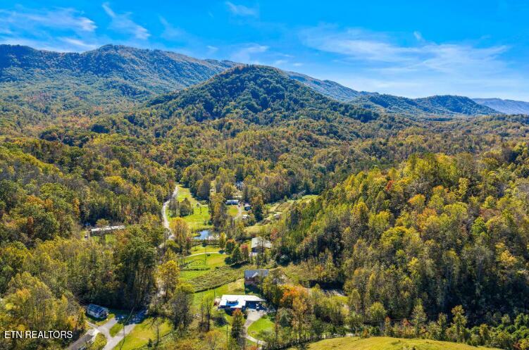 561 Sugar Loaf Road Seymour, TN 37865 - Photo 42 of 48 Screenshot 2026-01-27 165013