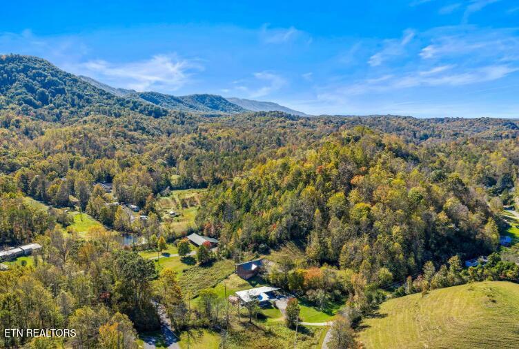 561 Sugar Loaf Road Seymour, TN 37865 - Photo 46 of 48 Screenshot 2026-01-27 165053