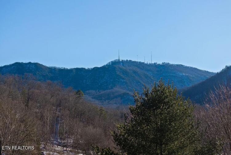 561 Sugar Loaf Road Seymour, TN 37865 - Photo 8 of 48 Screenshot 2026-01-27 164444