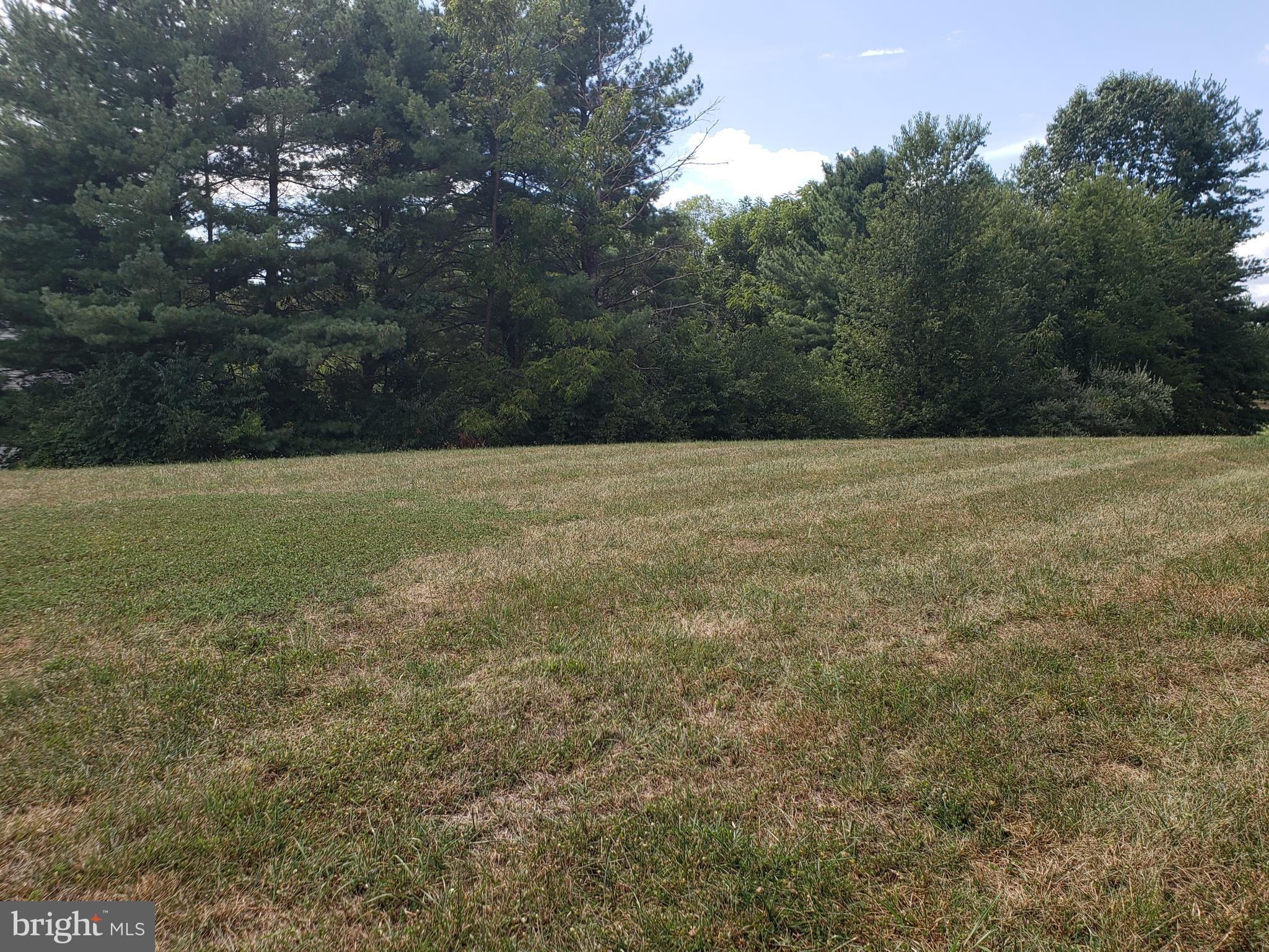 Bowling Green Road Front Royal, VA 22630 - Photo 4 of 10