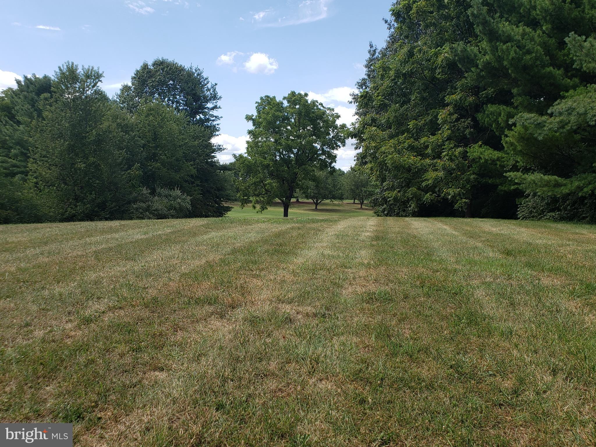 Bowling Green Road Front Royal, VA 22630 - Photo 5 of 10