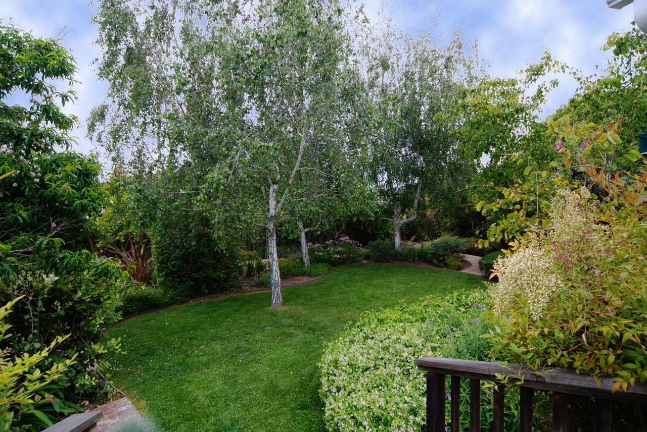 3017 Serena Road Santa Barbara, CA 93105 - Photo 7 of 9 Backyard