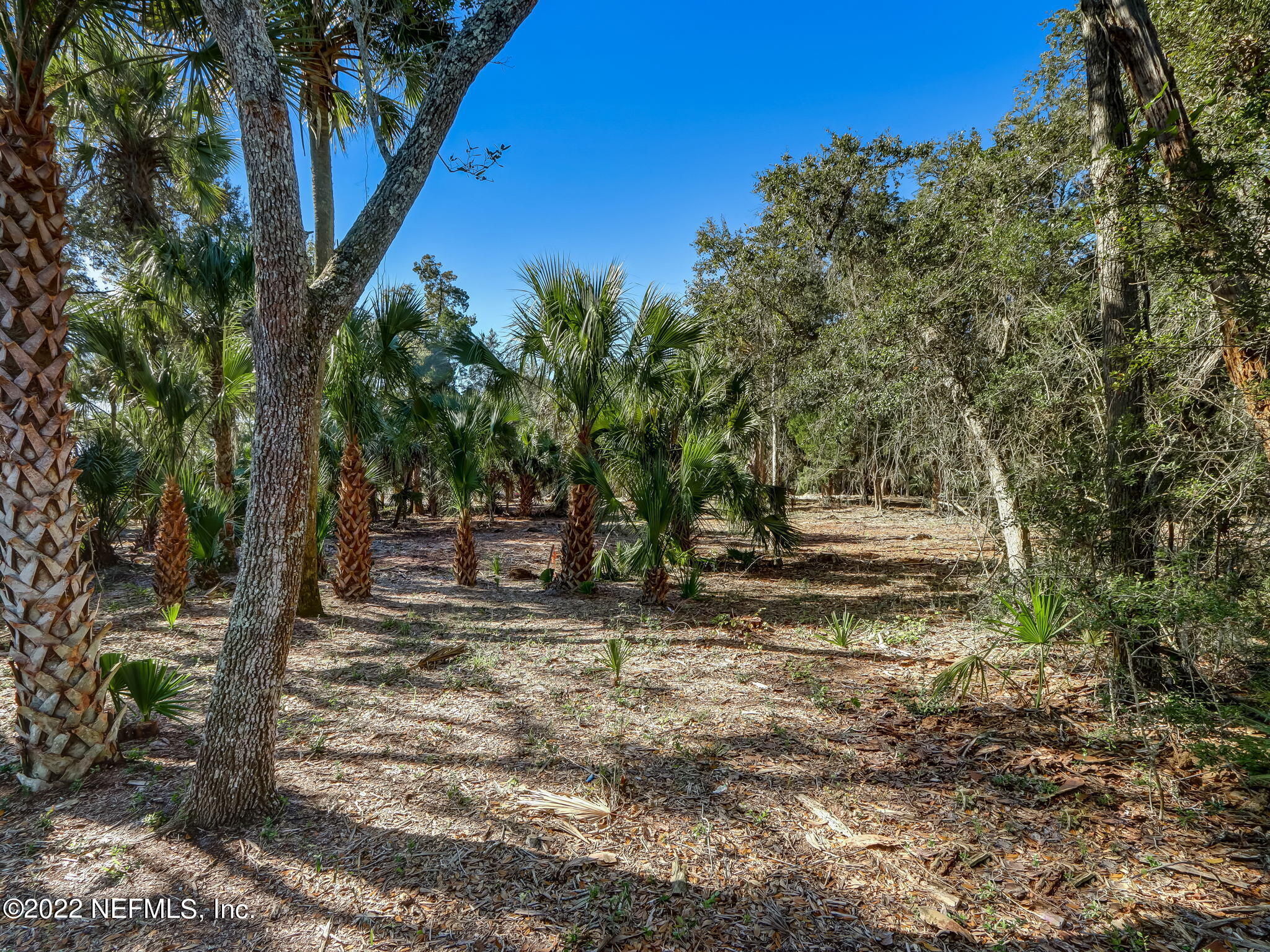 275 Shell Ridge Lane Ponte Vedra, FL 32081 - Photo 16 of 36 17-web-or-mls-17_River Landing Lot 52 Hi