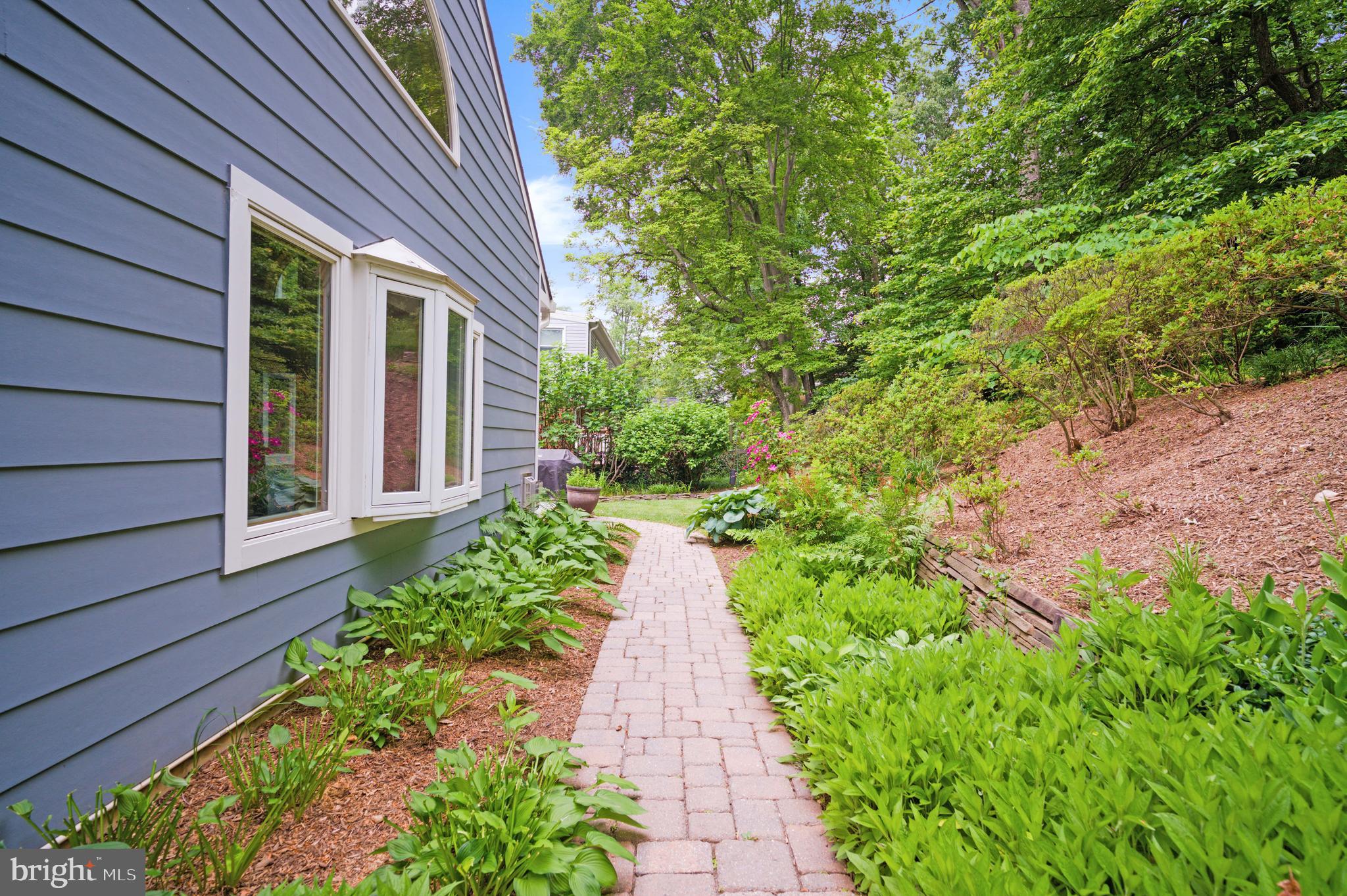 3111 North Thomas Street Arlington, VA 22207 - Photo 39 of 40 a view of a pathway with a flower in front of main door