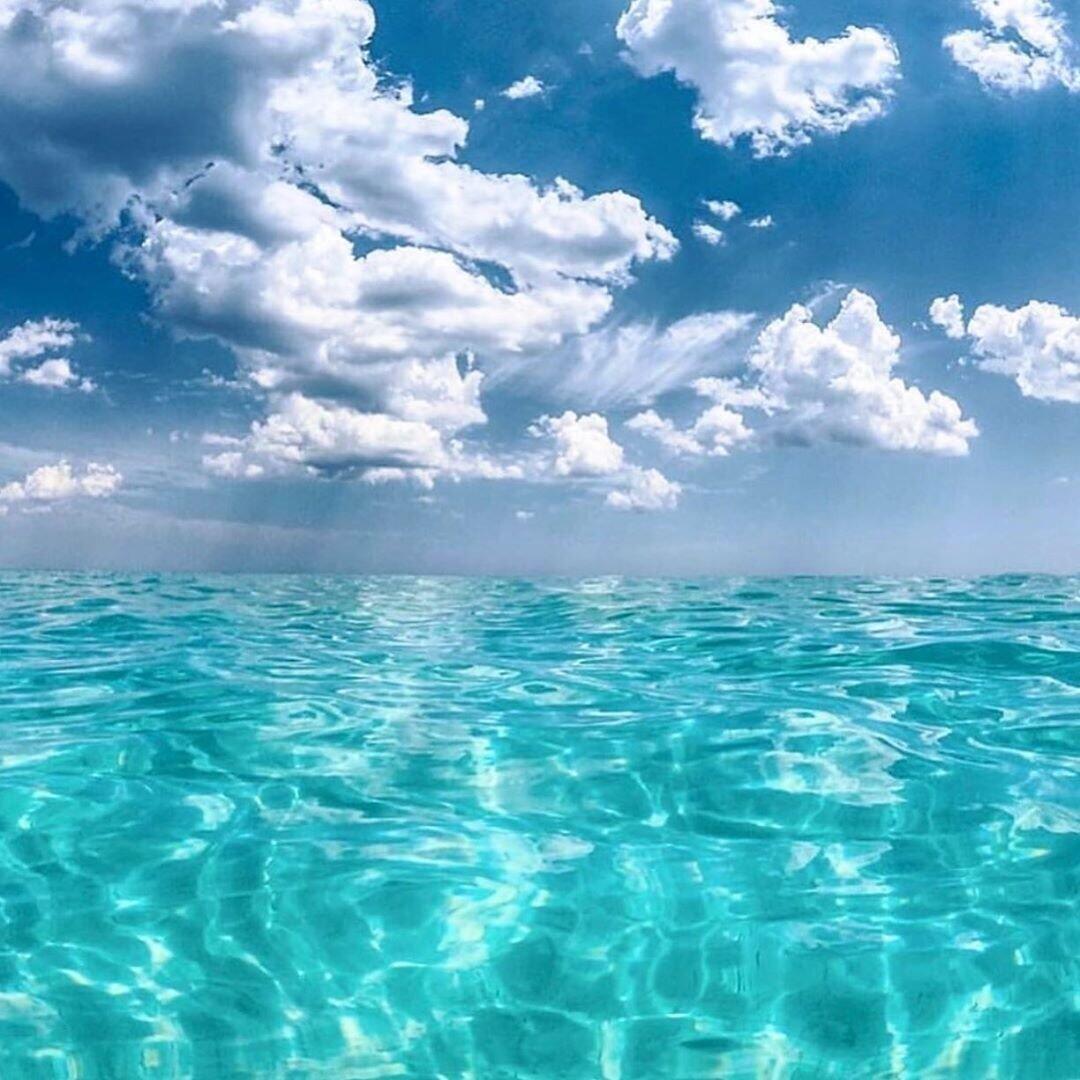 6528 West County Highway 30A Santa Rosa Beach, FL 32459 - Photo 48 of 87 Driftwood-48