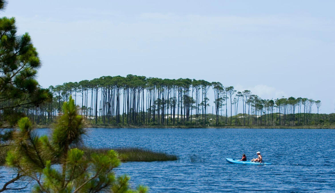 6528 West County Highway 30A Santa Rosa Beach, FL 32459 - Photo 58 of 87 a view of outdoor space and yard