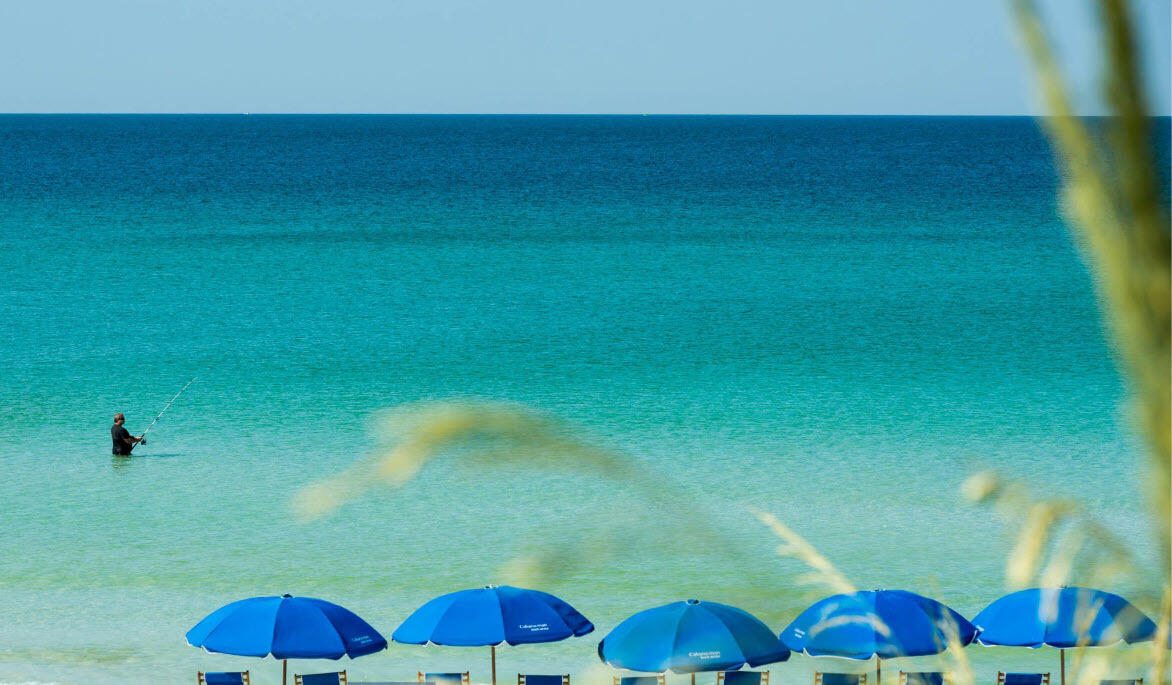 6528 West County Highway 30A Santa Rosa Beach, FL 32459 - Photo 60 of 87 Driftwood-60