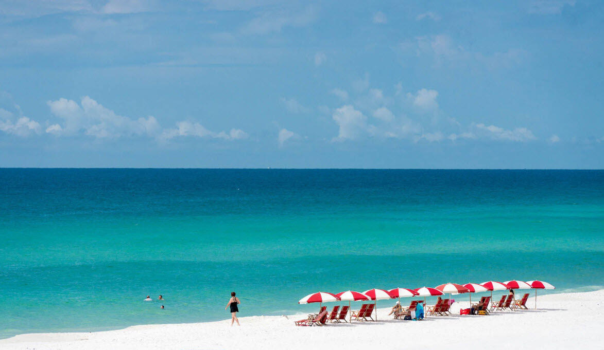 6528 West County Highway 30A Santa Rosa Beach, FL 32459 - Photo 67 of 87 Driftwood-67