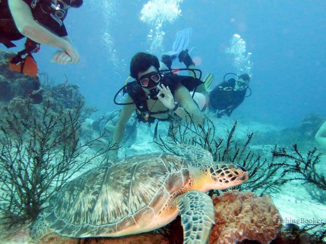 6528 West County Highway 30A Santa Rosa Beach, FL 32459 - Photo 73 of 87 a view of a plant in a garden