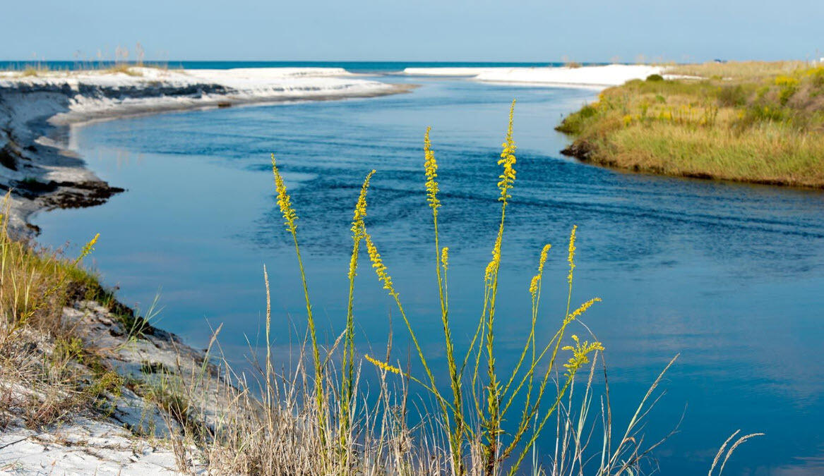 6528 West County Highway 30A Santa Rosa Beach, FL 32459 - Photo 76 of 87 Driftwood-76
