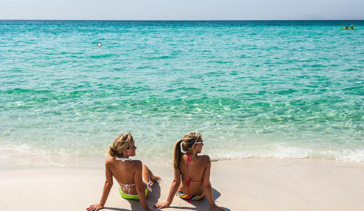 6528 West County Highway 30A Santa Rosa Beach, FL 32459 - Photo 78 of 87 Driftwood-78