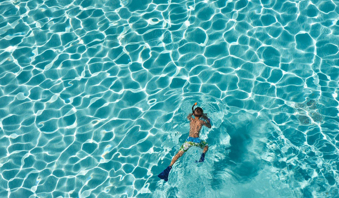 6528 West County Highway 30A Santa Rosa Beach, FL 32459 - Photo 80 of 87 a view of a plant