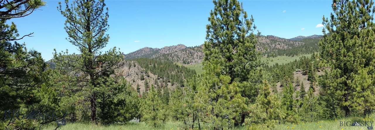 Lot 102 Dearborn River Road Cascade, MT 59421 - Photo 1 of 1 Gallery Image 1