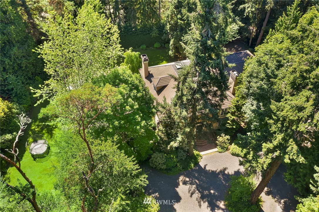 142 Moss Road Shoreline, WA 98177 - Photo 2 of 32 a backyard of a house with lots of green space