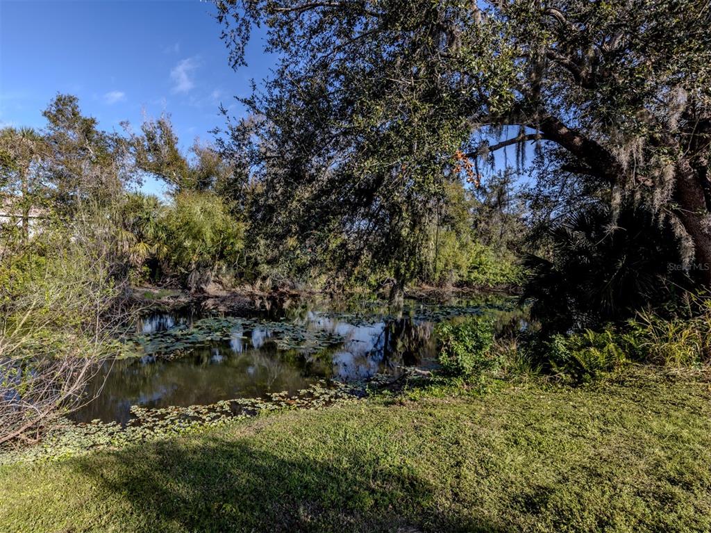 2107 Johannesberg Road North Port, FL 34288 - Photo 30 of 60 a backyard of a house with lots of green space