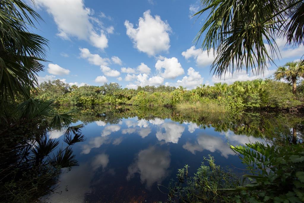 2107 Johannesberg Road North Port, FL 34288 - Photo 32 of 60 a view of a yard