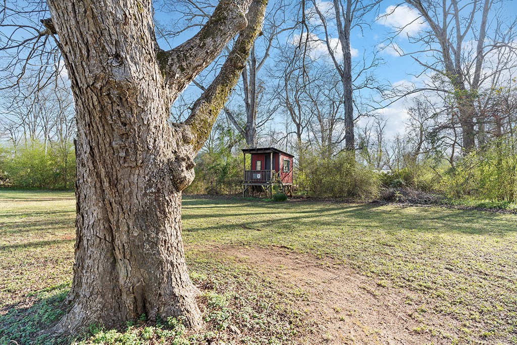 218 Center Road Greenwood, SC 29646 - Photo 23 of 29 Gallery Image 23