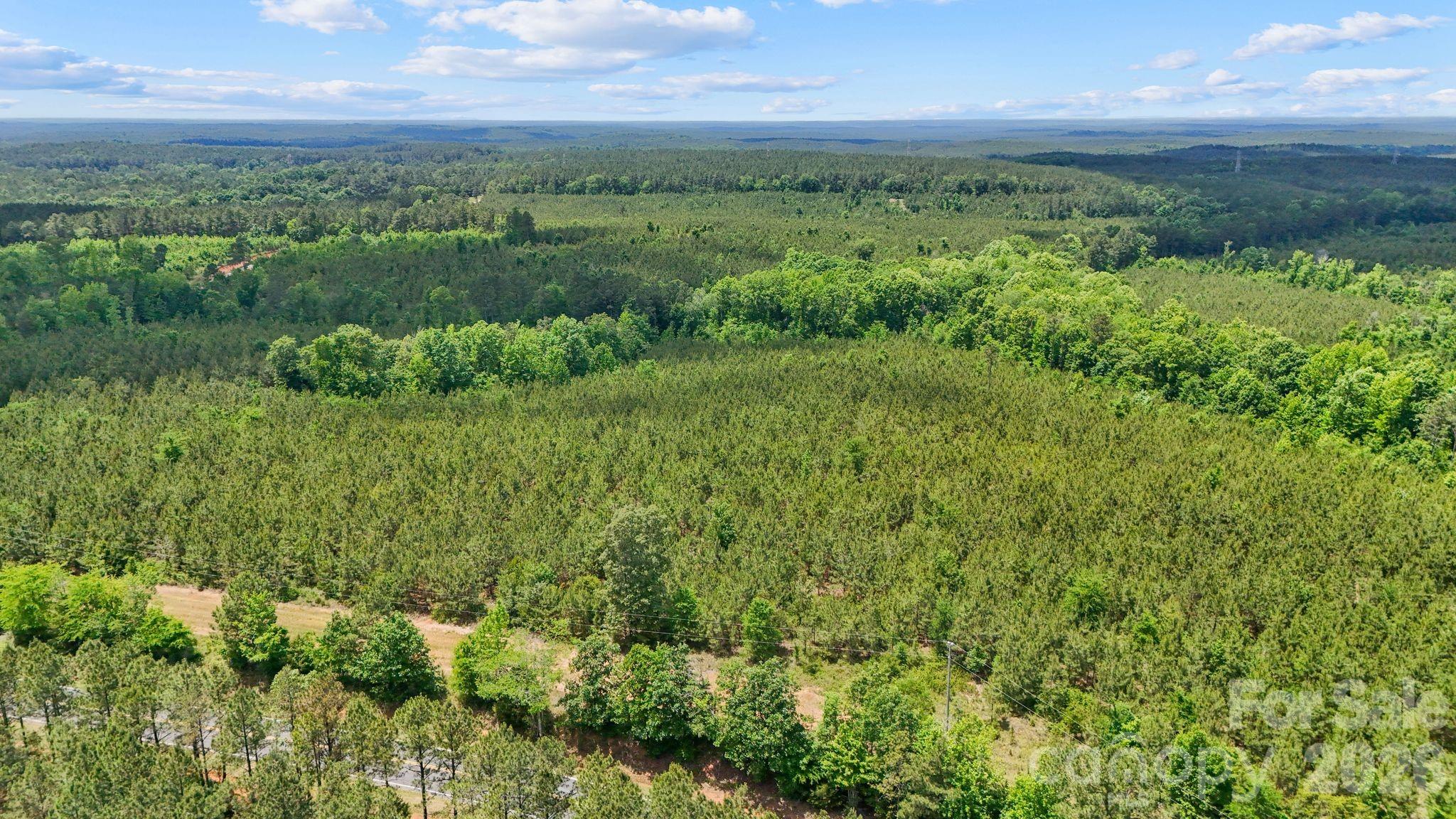 0 Cool Branch Road, Unit 3 Carlisle, SC 29031 - Photo 16 of 20