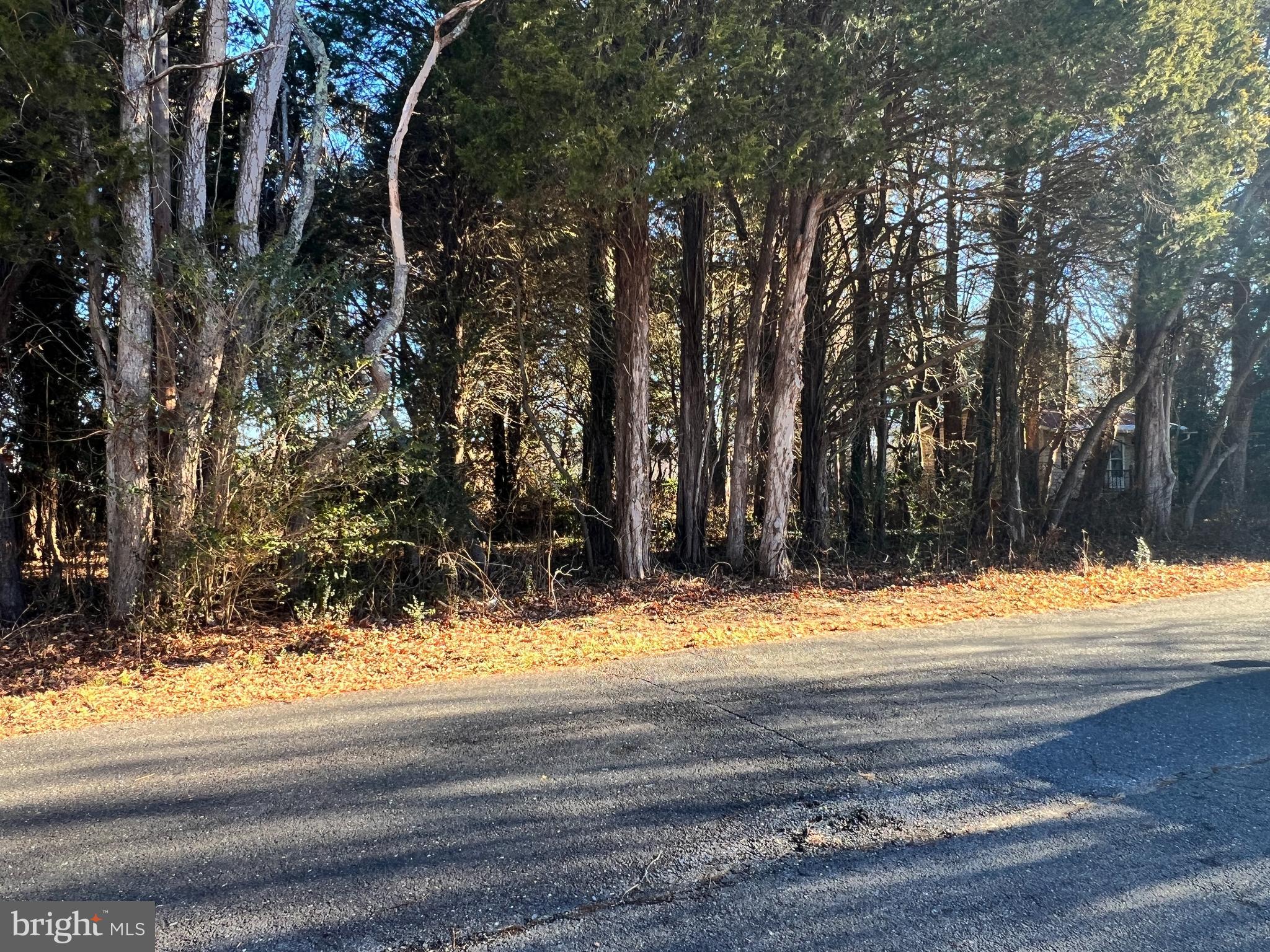 Bay Drive Chaptico, MD 20621 - Photo 3 of 9