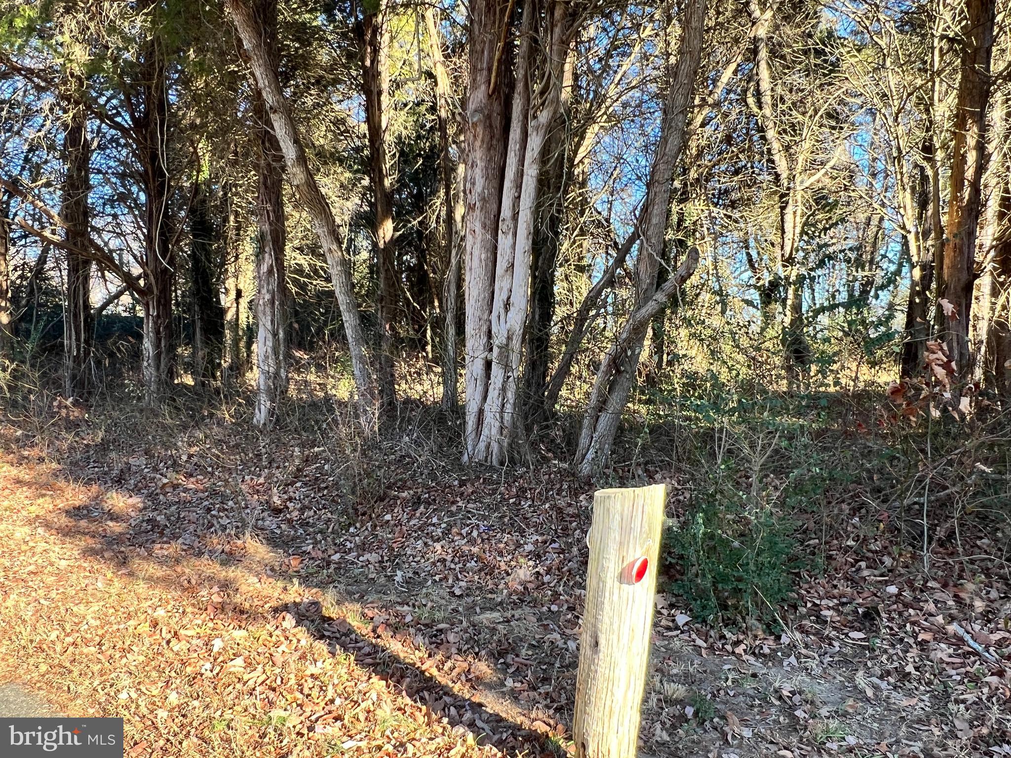 Bay Drive Chaptico, MD 20621 - Photo 5 of 9