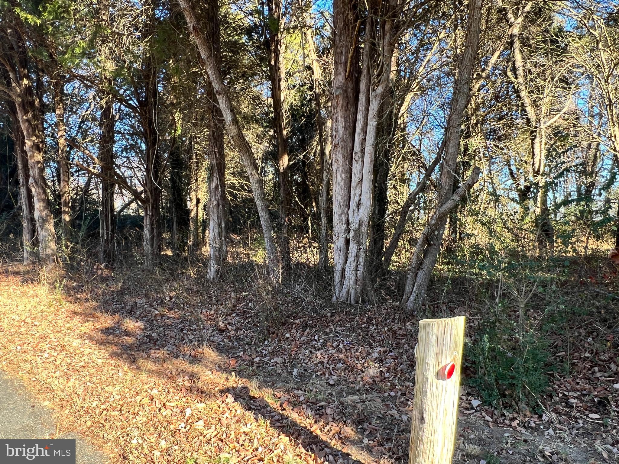 Bay Drive Chaptico, MD 20621 - Photo 6 of 9