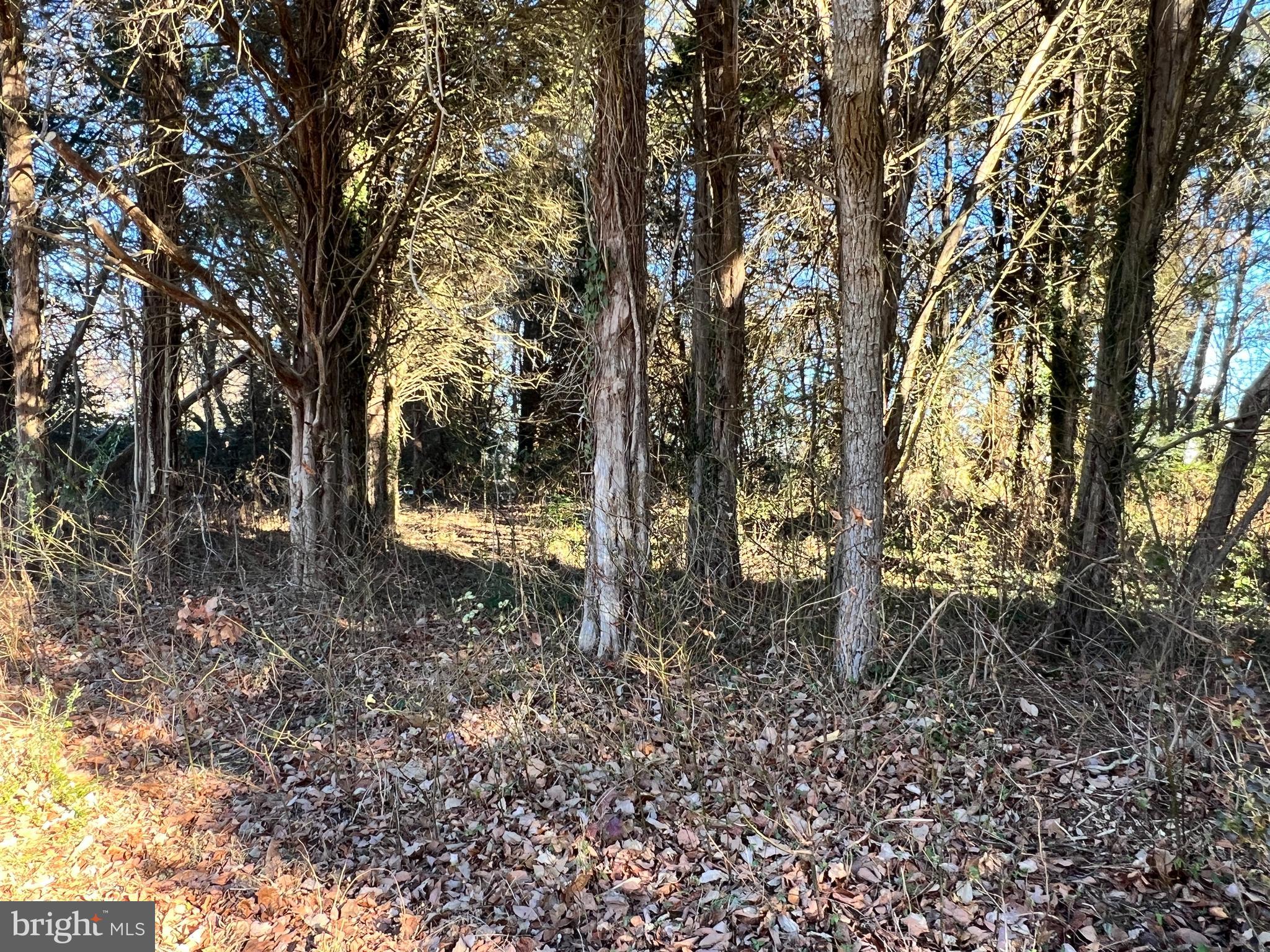 Bay Drive Chaptico, MD 20621 - Photo 8 of 9