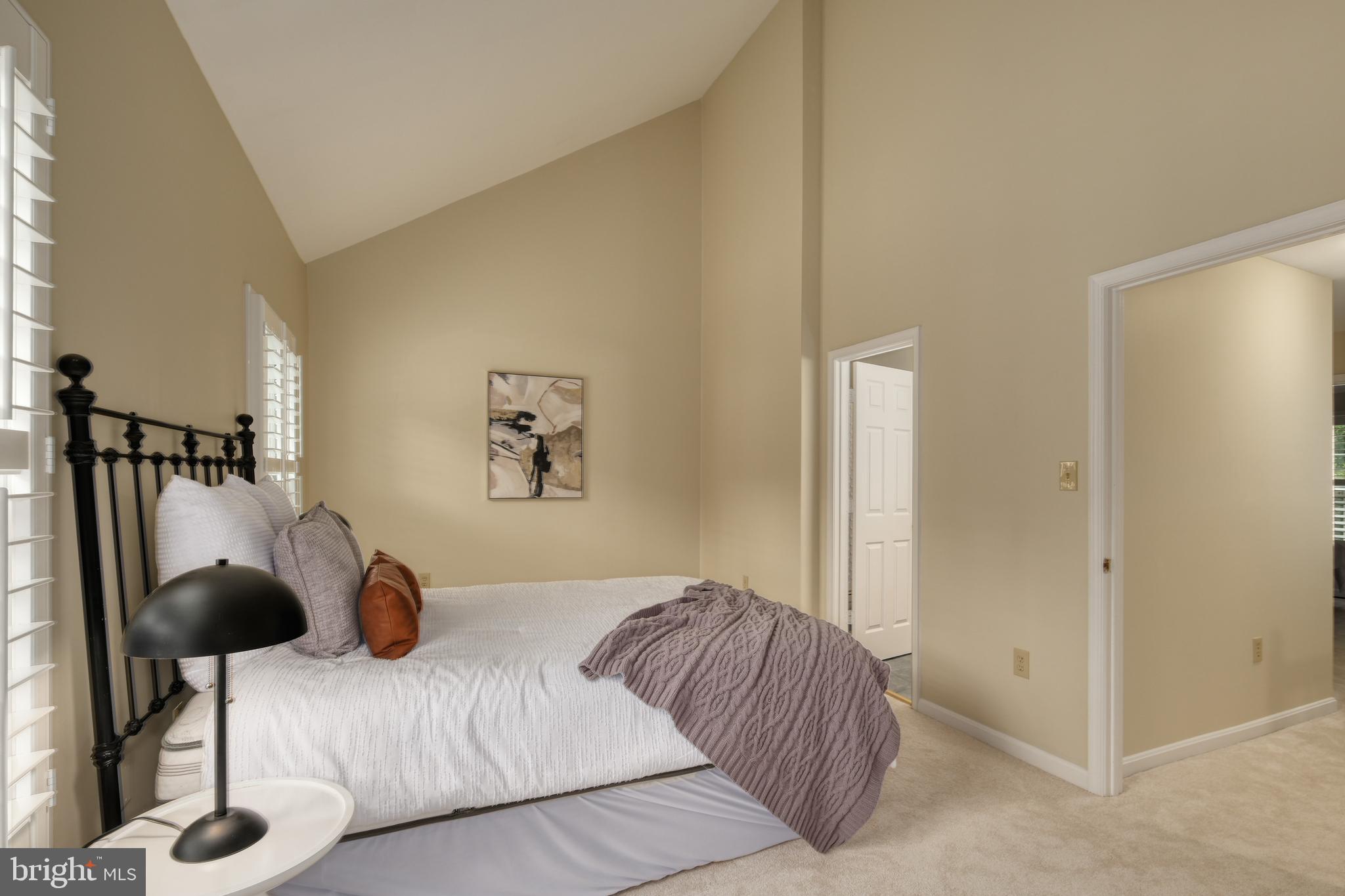 8174 Cliffview Avenue Springfield, VA 22153 - Photo 22 of 55 Primary BR suite w/vaulted ceiling, new carpet