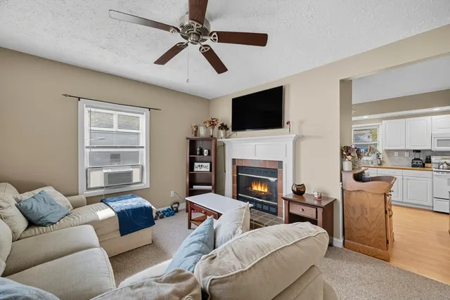 a living room with furniture a fireplace and a flat screen tv