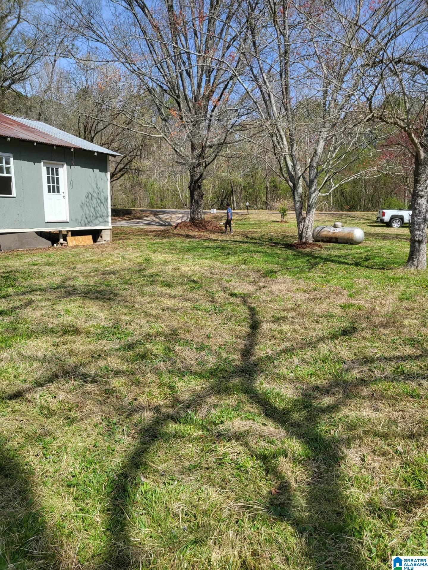 7051 Goodner Mountain Road Trussville, AL 35173 - Photo 11 of 15