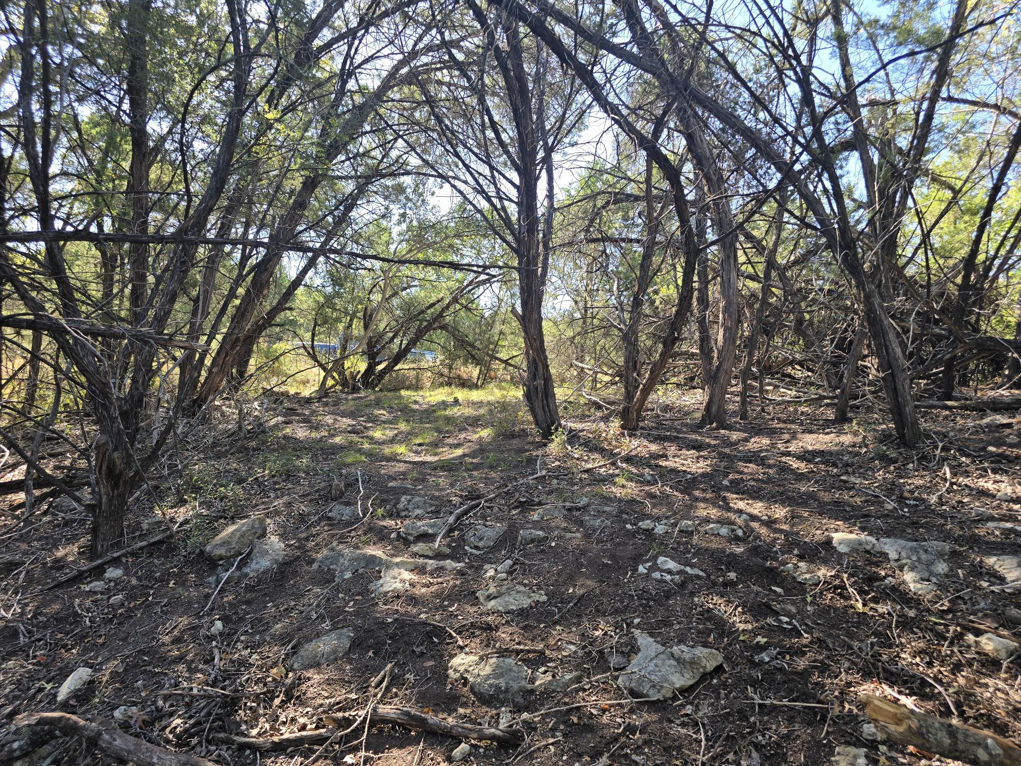 View of undeveloped land