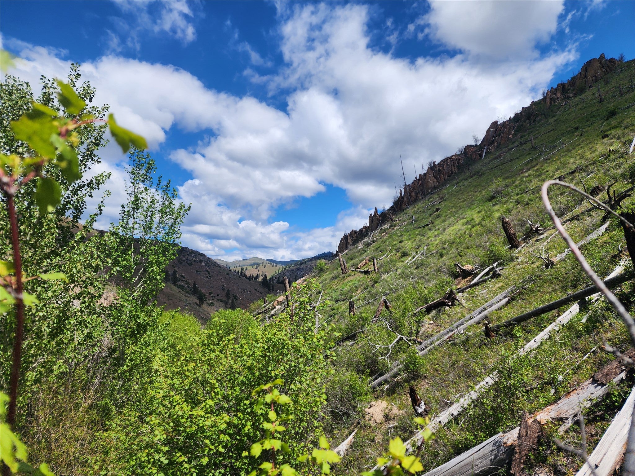 Nhn Blind Creek Draw Road Conner, MT 59827 - Photo 9 of 27 Gallery Image 9