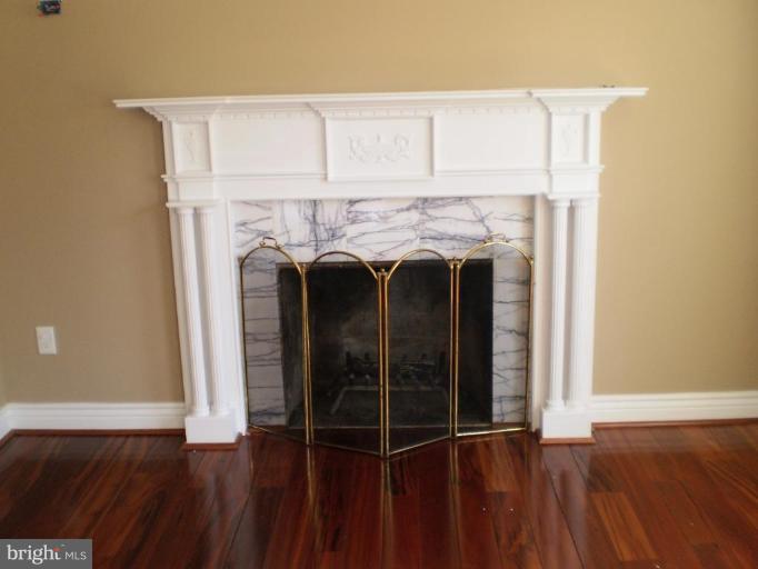 9428 Old Courthouse Road Vienna, VA 22182 - Photo 4 of 20 Fireplace
