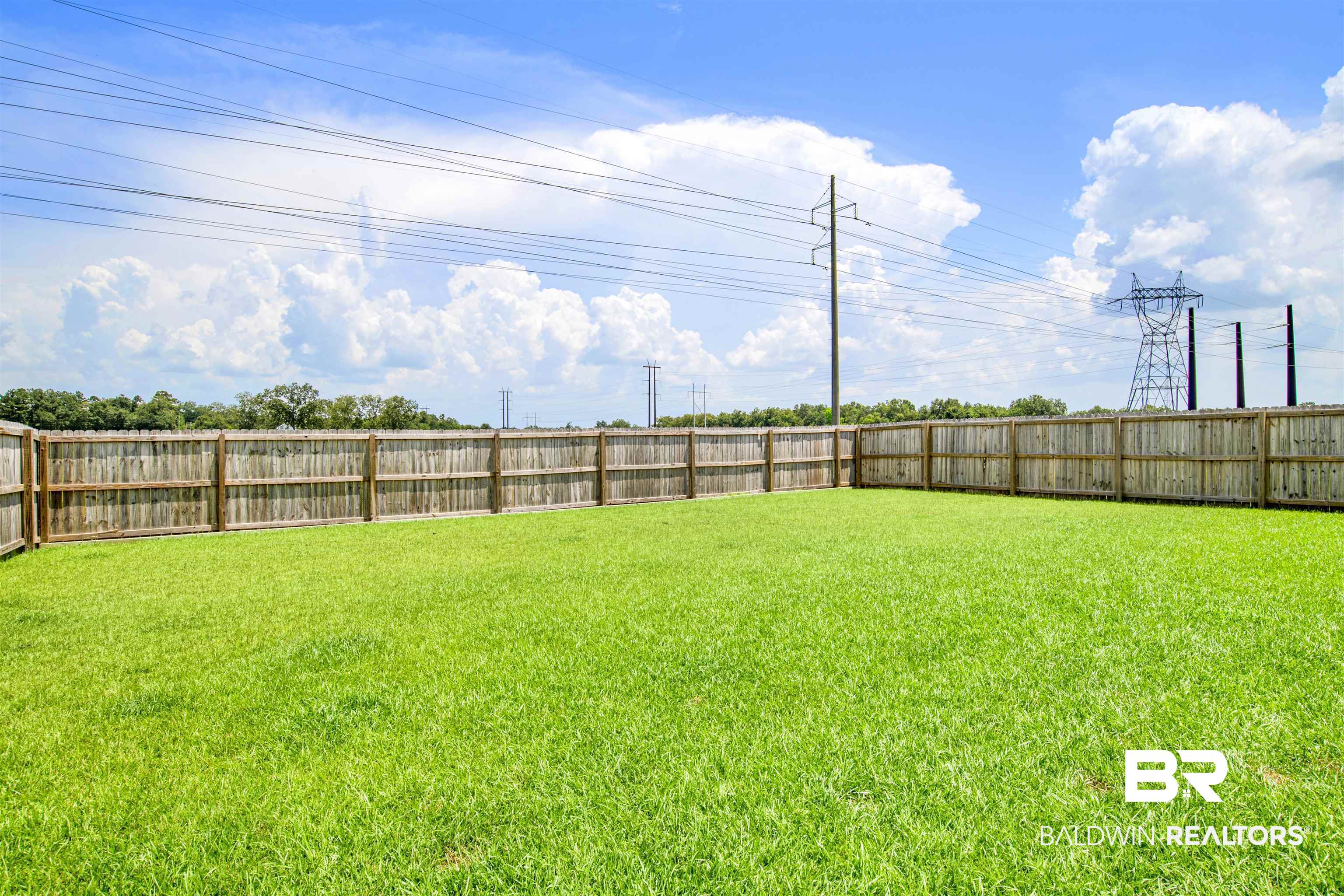 14731 Forsythia Loop Silverhill, AL 36576 - Photo 21 of 25 View of yard