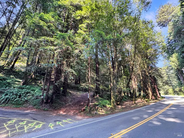 a view of a street with a tree