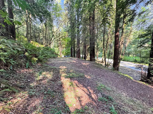 a view of outdoor space and trees