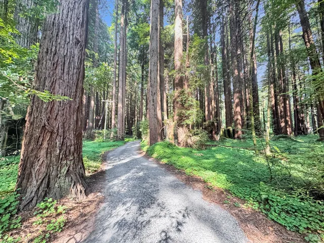 a backyard of a house with lots of green space