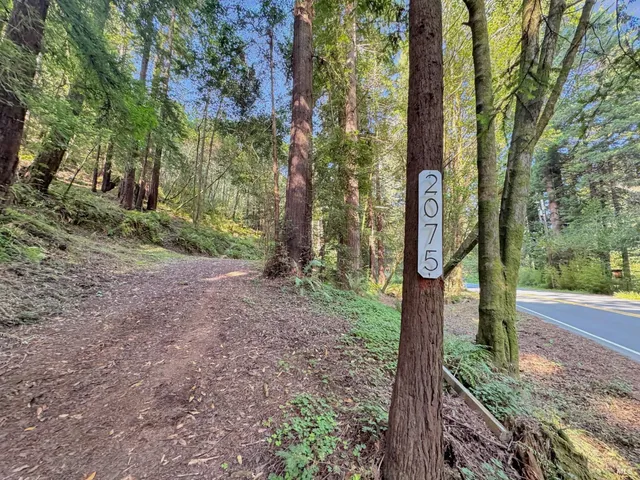 a sign board with tall trees
