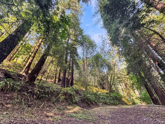 a backyard of a house with lots of green space