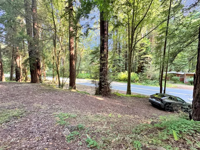 a view of a tree in front of a house
