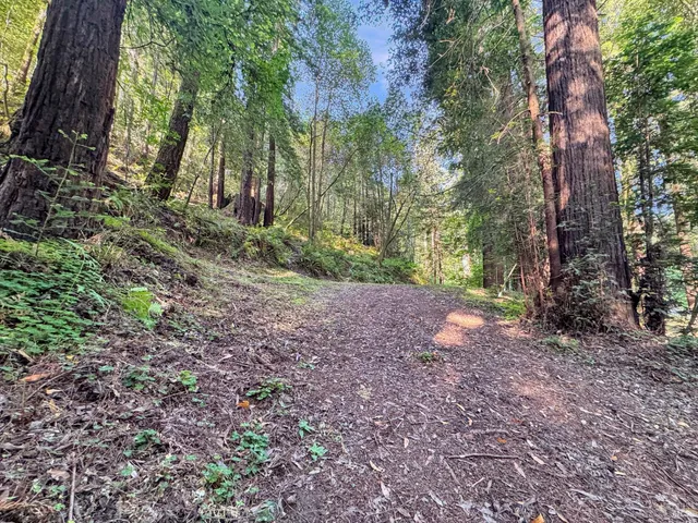 a view of backyard with green space