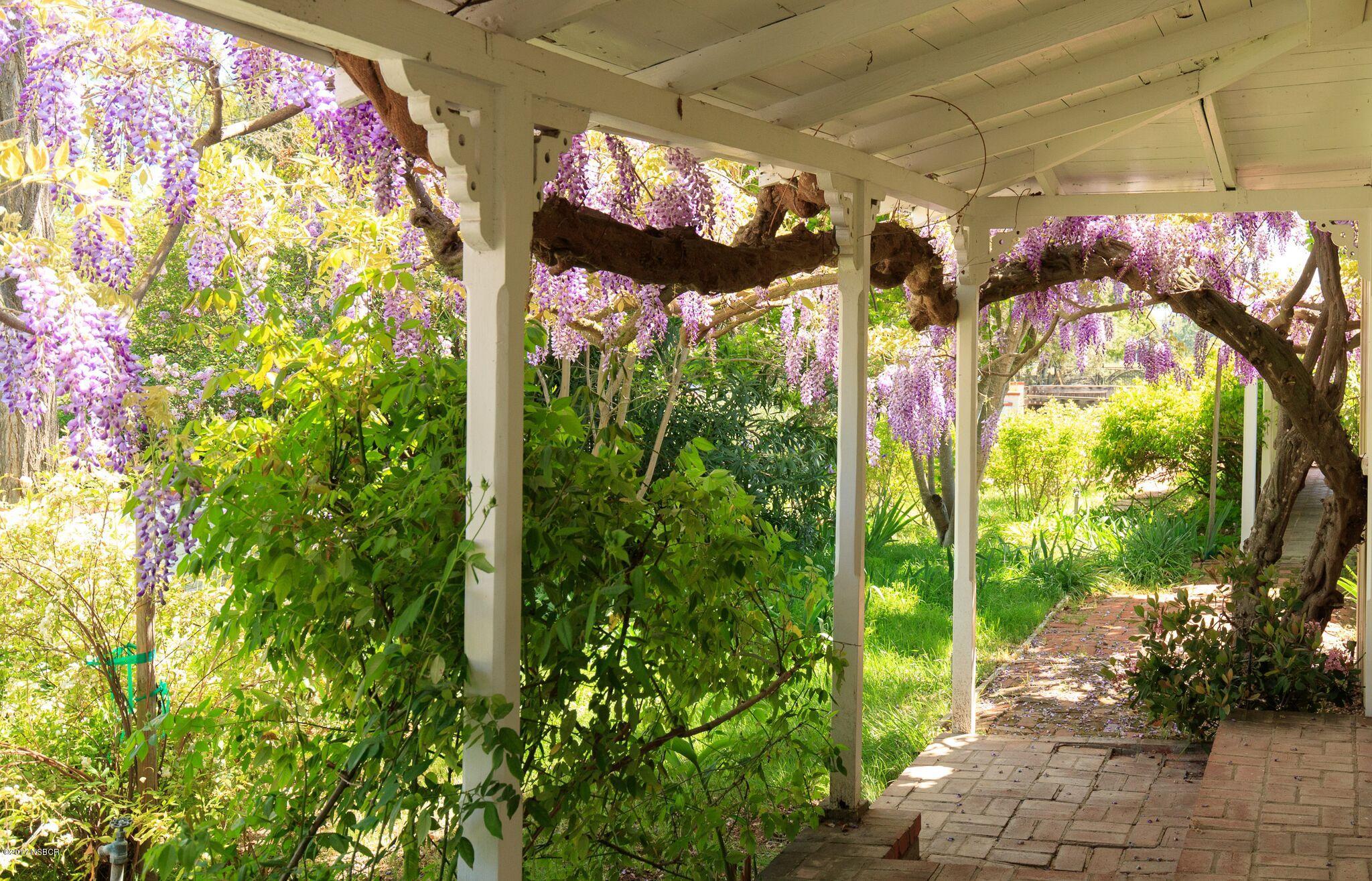 2411 Alamo Pintado Road Los Olivos, CA 93463 - Photo 3 of 46 2411 ALAMO PINTADO WEB-28