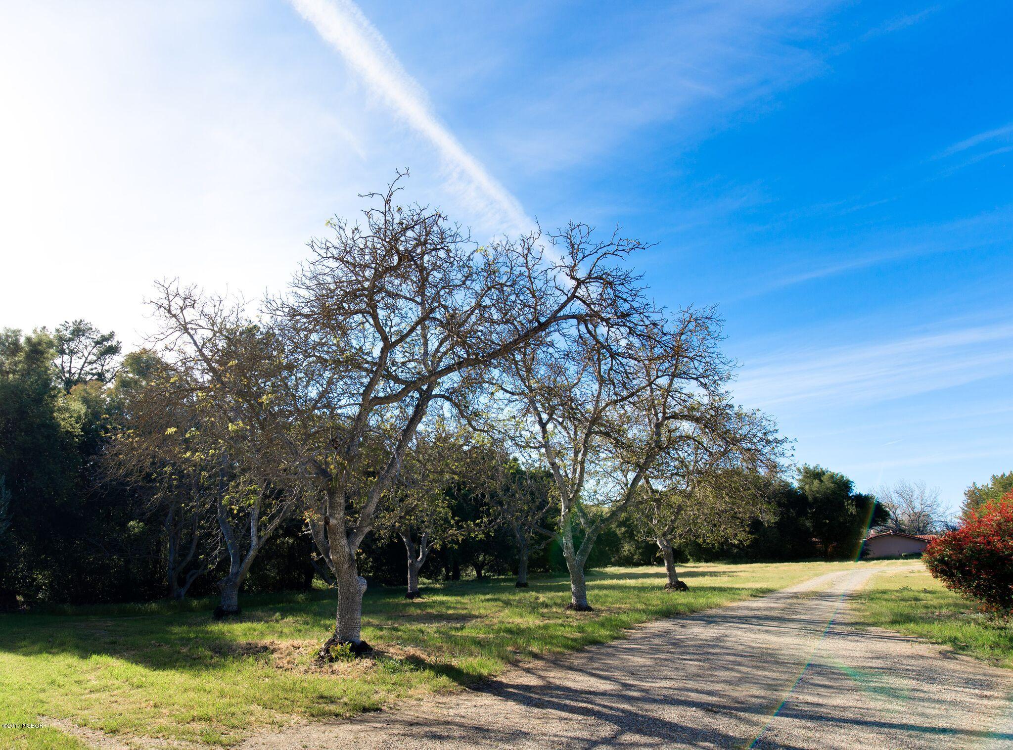 2411 Alamo Pintado Road Los Olivos, CA 93463 - Photo 39 of 46 2411 ALAMO PINTADO WEB-52-1