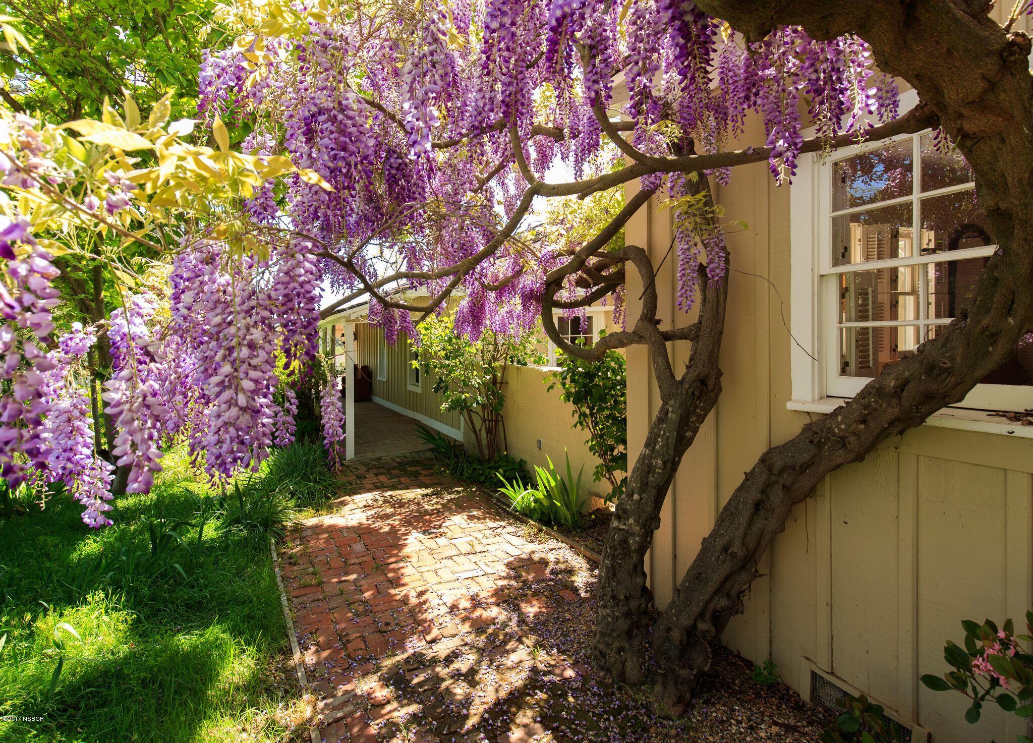 2411 Alamo Pintado Road Los Olivos, CA 93463 - Photo 41 of 46 2411 ALAMO PINTADO WEB-29