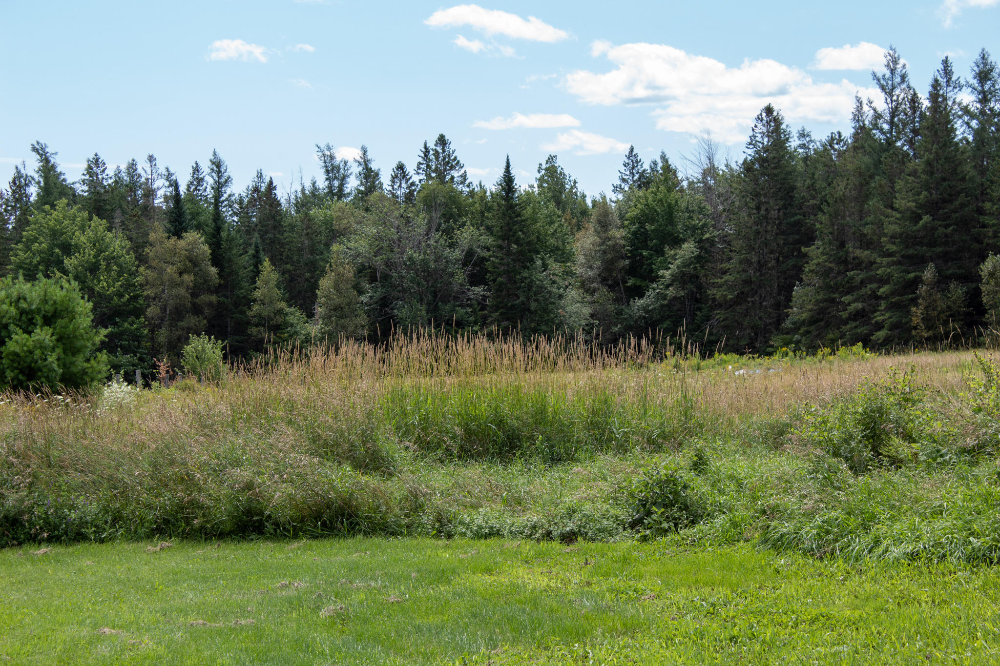 953 Tar Ridge Road Springfield, ME 04487 - Photo 31 of 44 IMG_0260