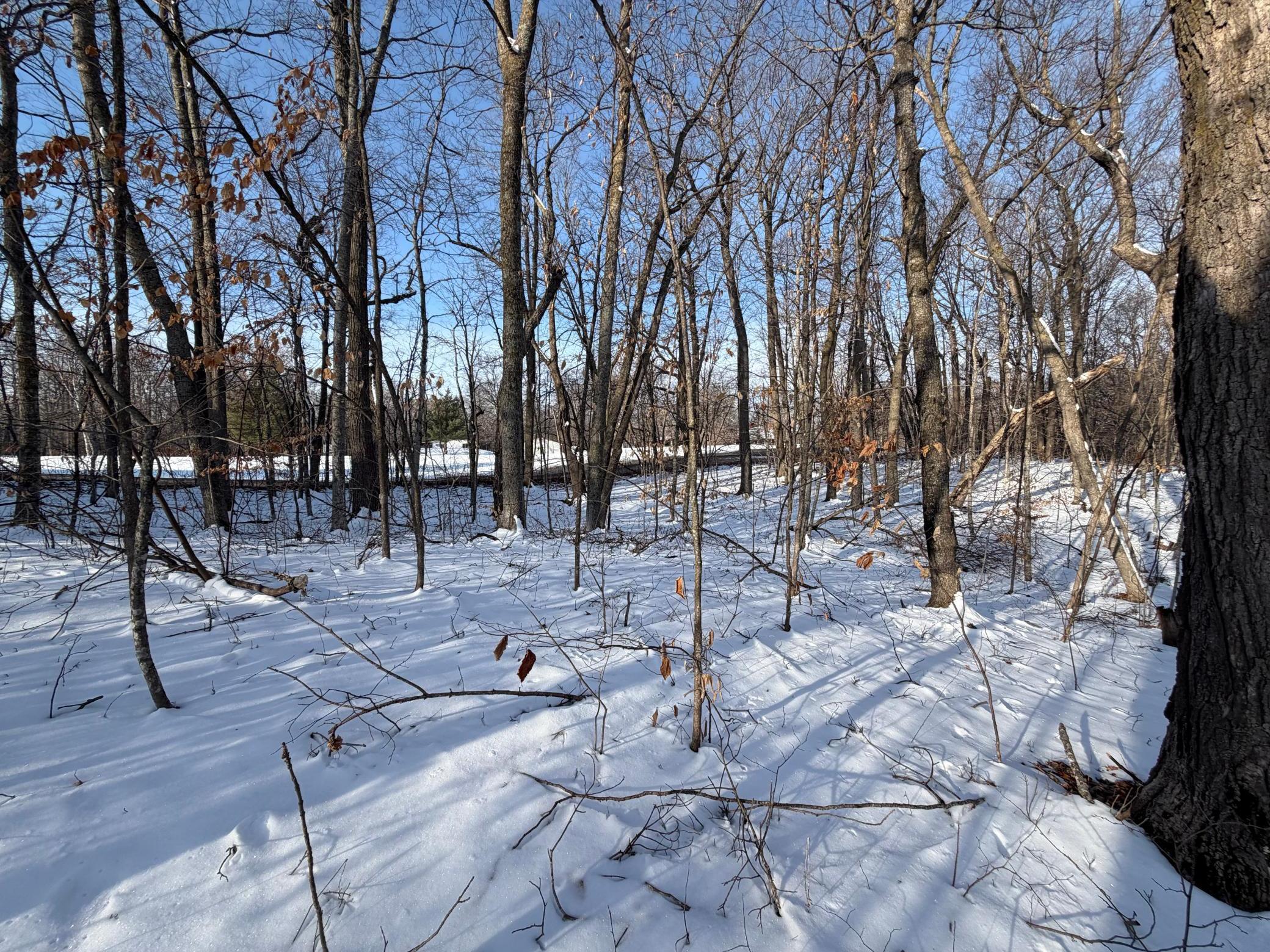 Tbd Tbd Short Putt Garrison, MN 56450 - Photo 4 of 18