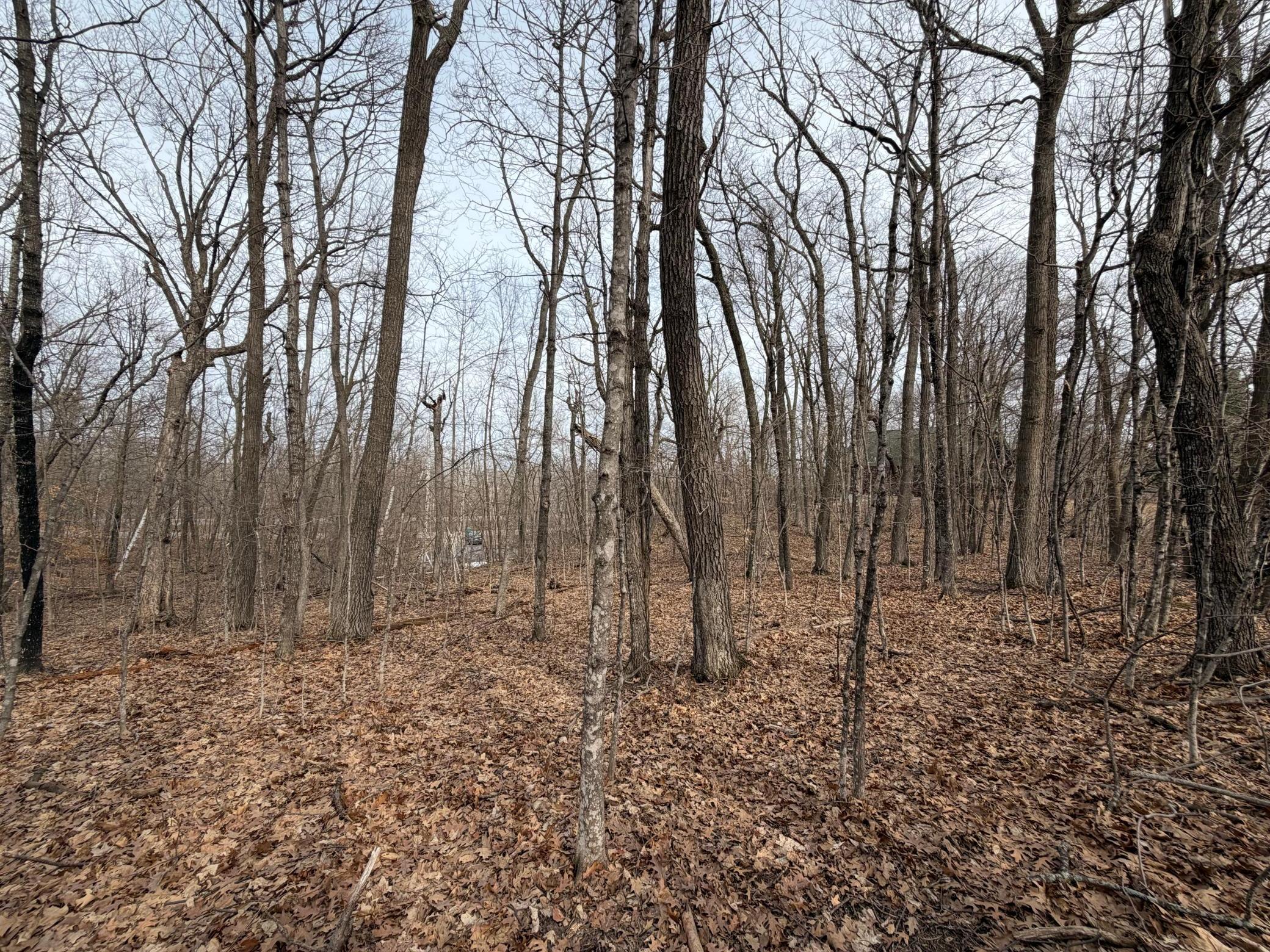 Tbd Tbd Short Putt Garrison, MN 56450 - Photo 6 of 18