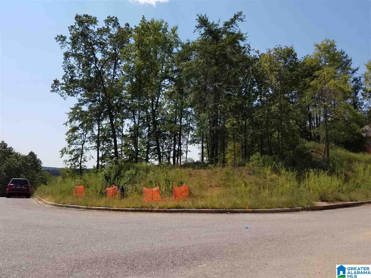 3000 Chelsea Ridge Trail, Unit 33 Chelsea, AL 35051 - Photo 3 of 5